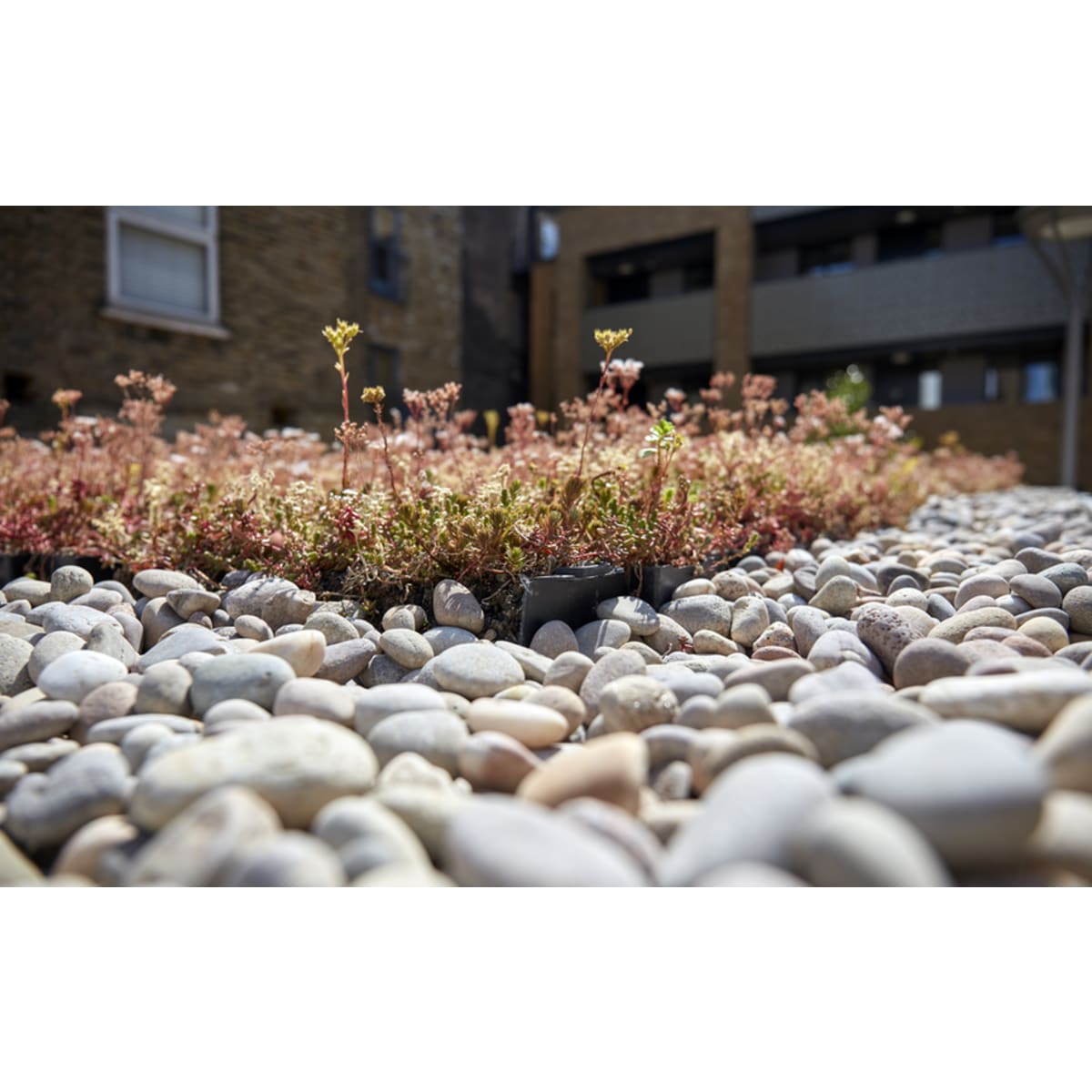 Product image for Scottish Pebbles For Grufekit 20kg Bag