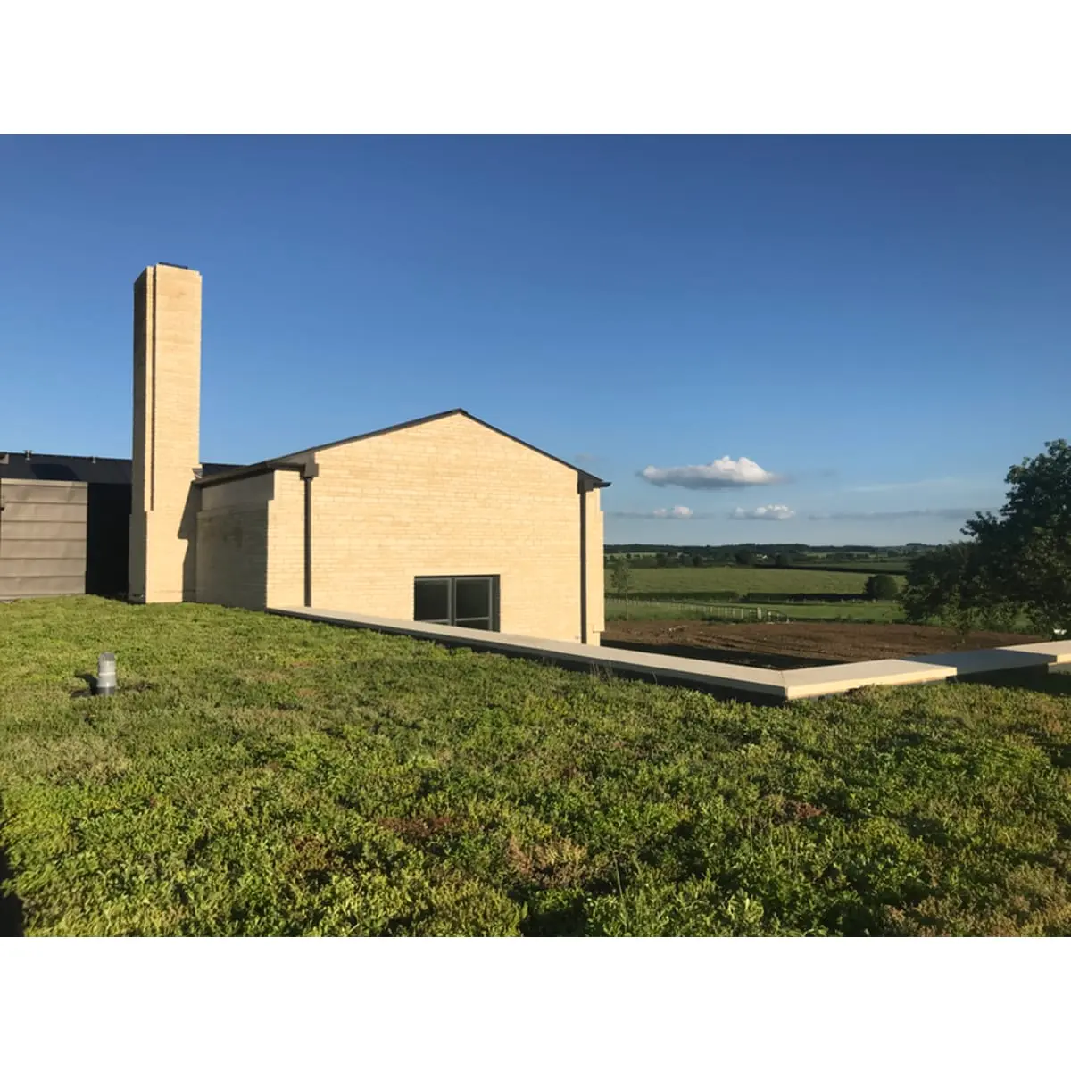 Image of Sedum Grufetile Green Roof Kit