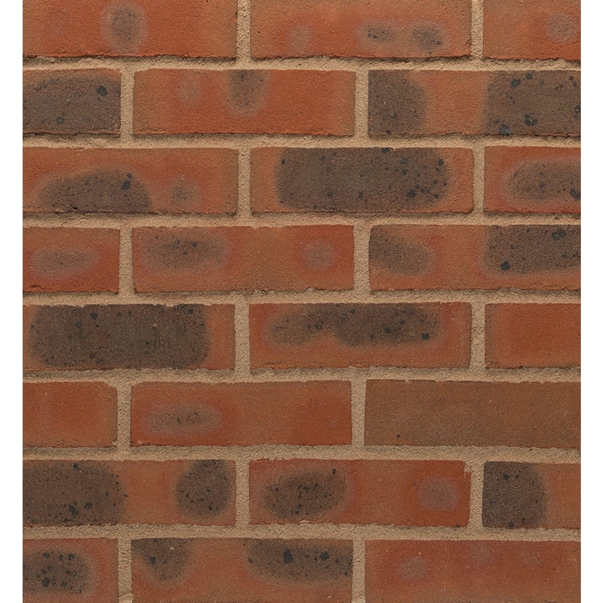 Product image for Wienerberger Nutcombe Multi Brick 65mm Red