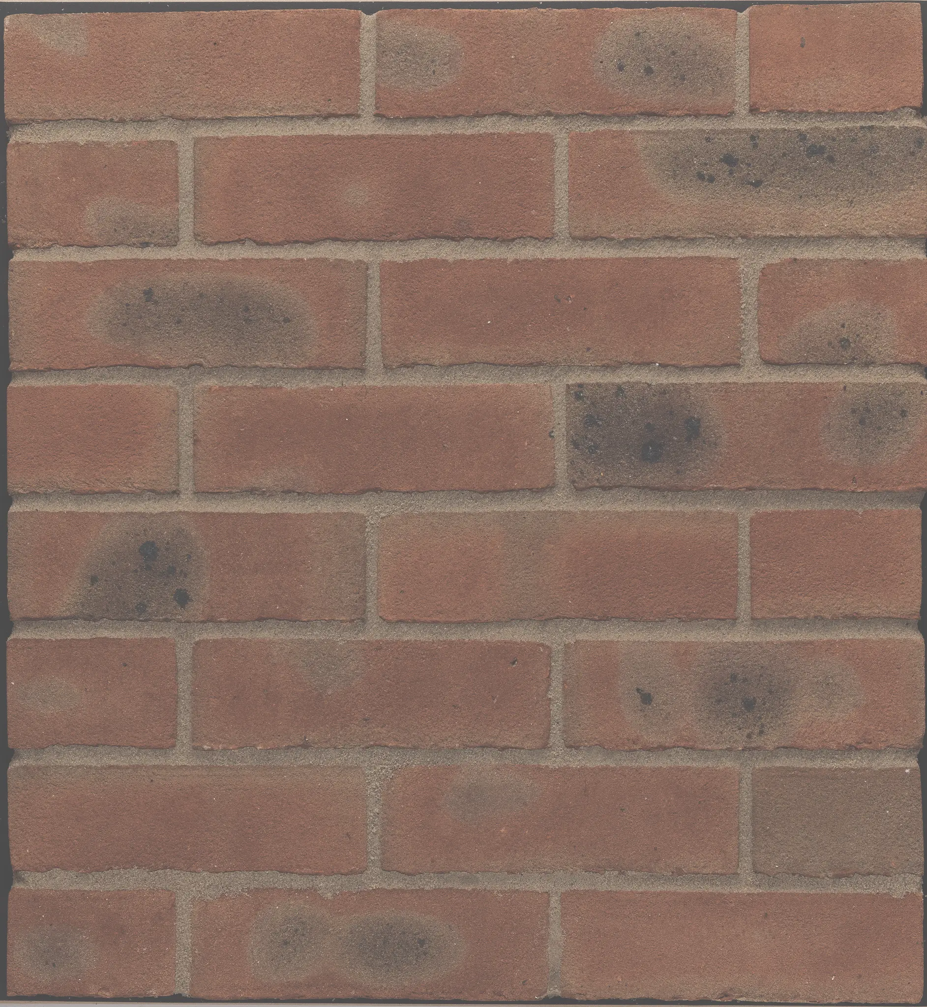 Product image for Wienerberger Nutcombe Multi Brick 65mm Red