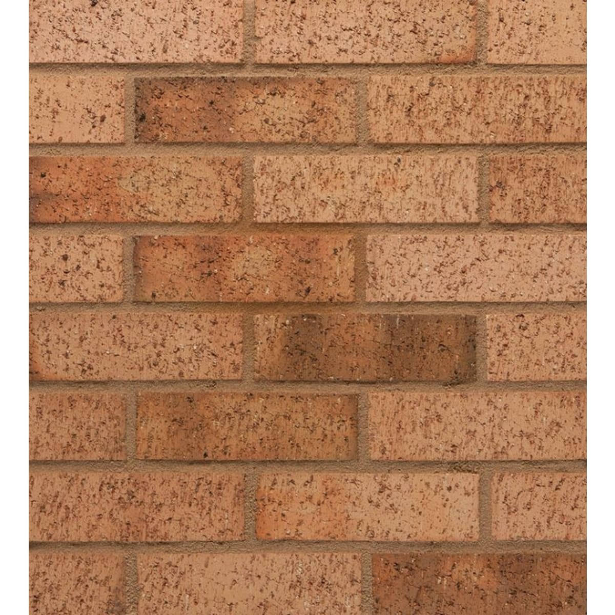 Product image for Wienerberger Leamington Brick 65mm Buff