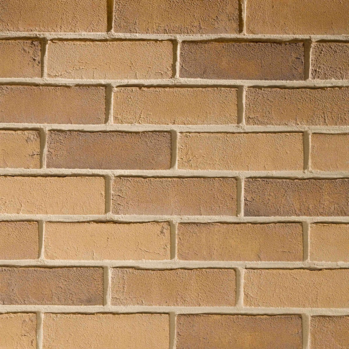 Product image for TBS Old English Brick 65mm Buff