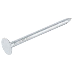 Image of Galvanised Clout Nail 2.65 x 40mm Bag (500g/Bag)