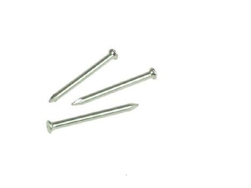 Product image for Rawlplug 2.5mm X 30mm Masonry Nails Qty 100