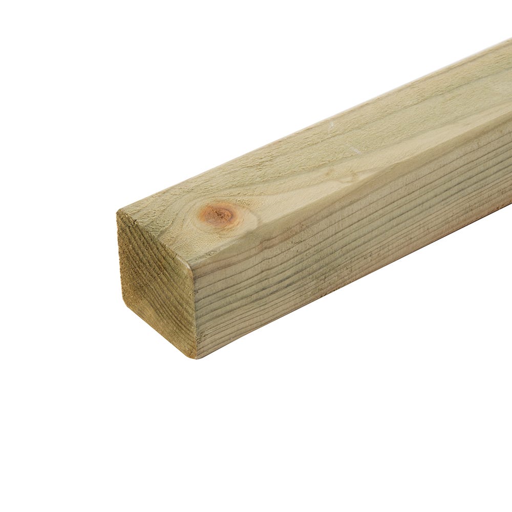 Product image for 47x50mm Homegrown Treated Carcassing Timber 3.6m