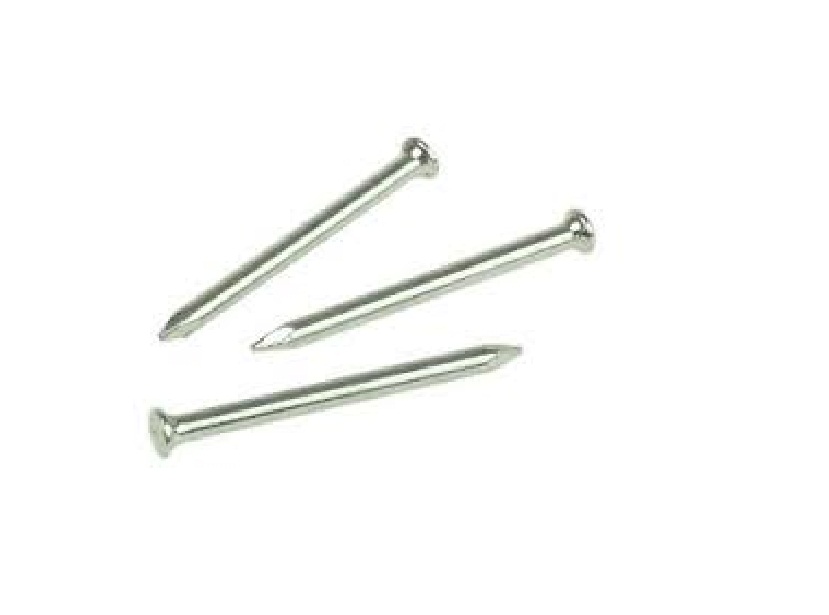 Product image for Rawlplug 3.0mm X 50mm Masonry Nails Qty 100