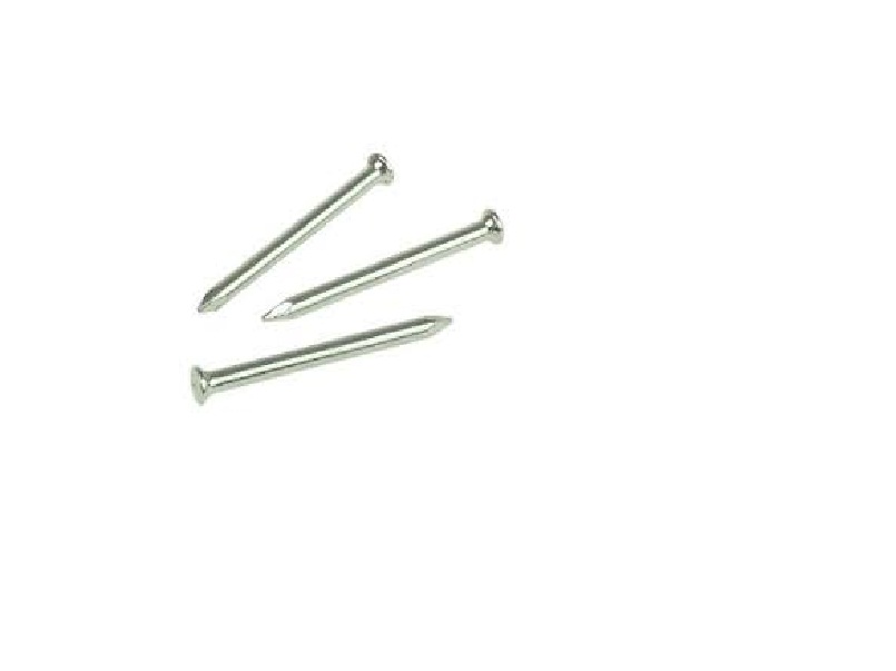 Product image for Rawlplug 3.0mm X 60mm Masonry Nails Qty 100