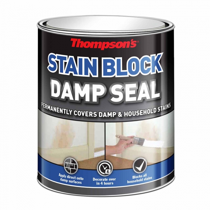 Product image for Thompson's One Coat Damp Seal 750ml White