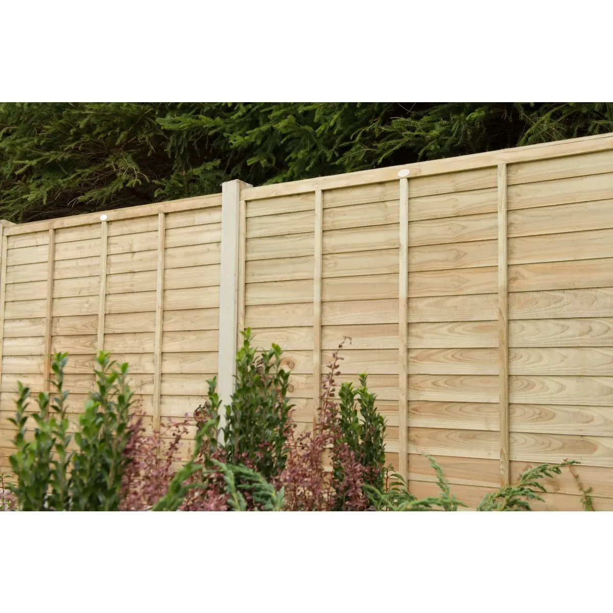 Product image for Forest Pressure Treated Superlap Fence Panel 1.83m X 1.83m
