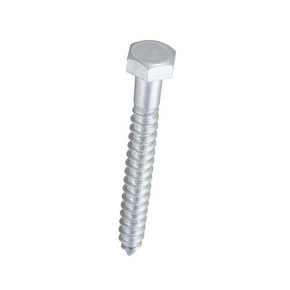 Image of Speed Pro M10 X 100mm BZP Hex Head Coach Screws Bag Of 25
