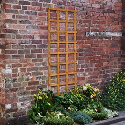 Image of Heavy Duty Trellis 183 x 61cm (Pack of 4)