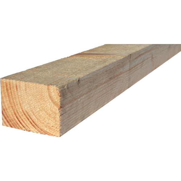Product image for 75x100 Homegrown Untreated Carcassing Timber 4.8m