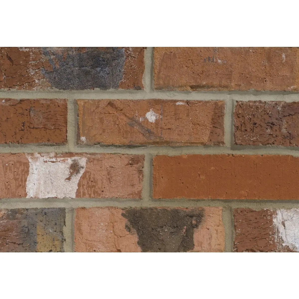 Product image for Forterra 65mm Southdown Multi Brick