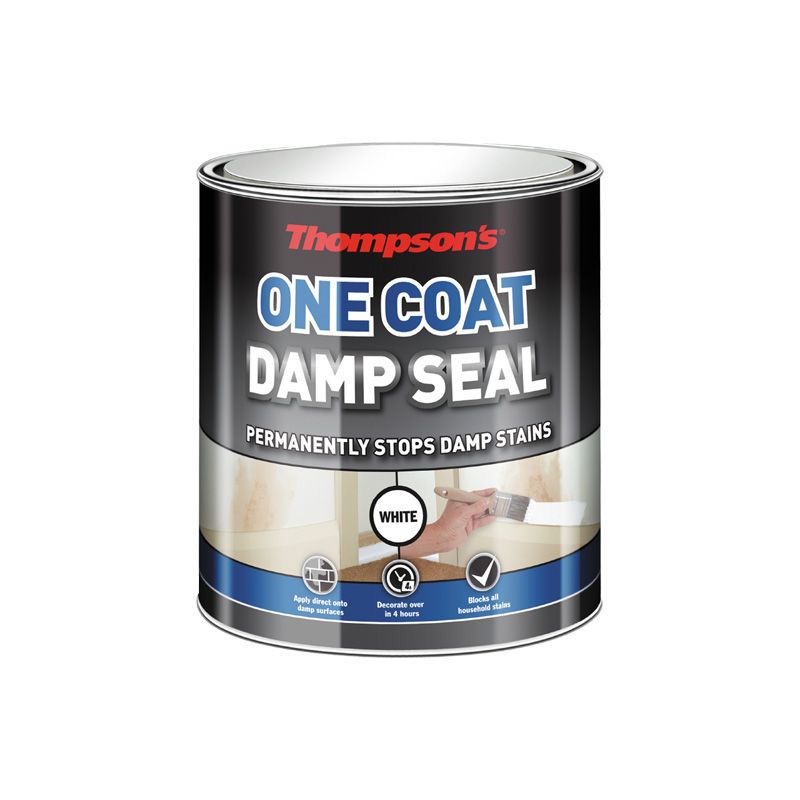 Product image for Thompsons One Coat Damp Seal - 250ml
