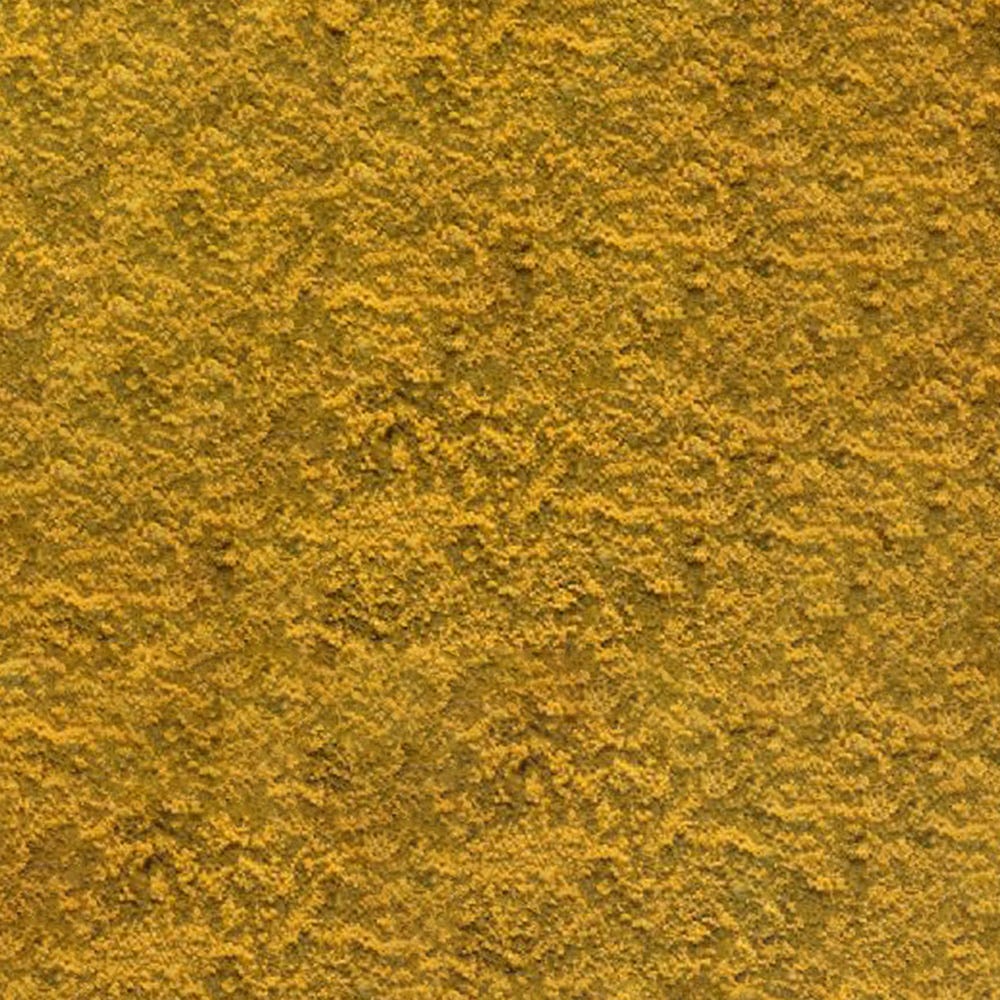 Product image for Soft Building Sand 40kg