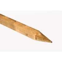 Product image for Sawn Treated Pointed Peg 47 x 50 x 600mm