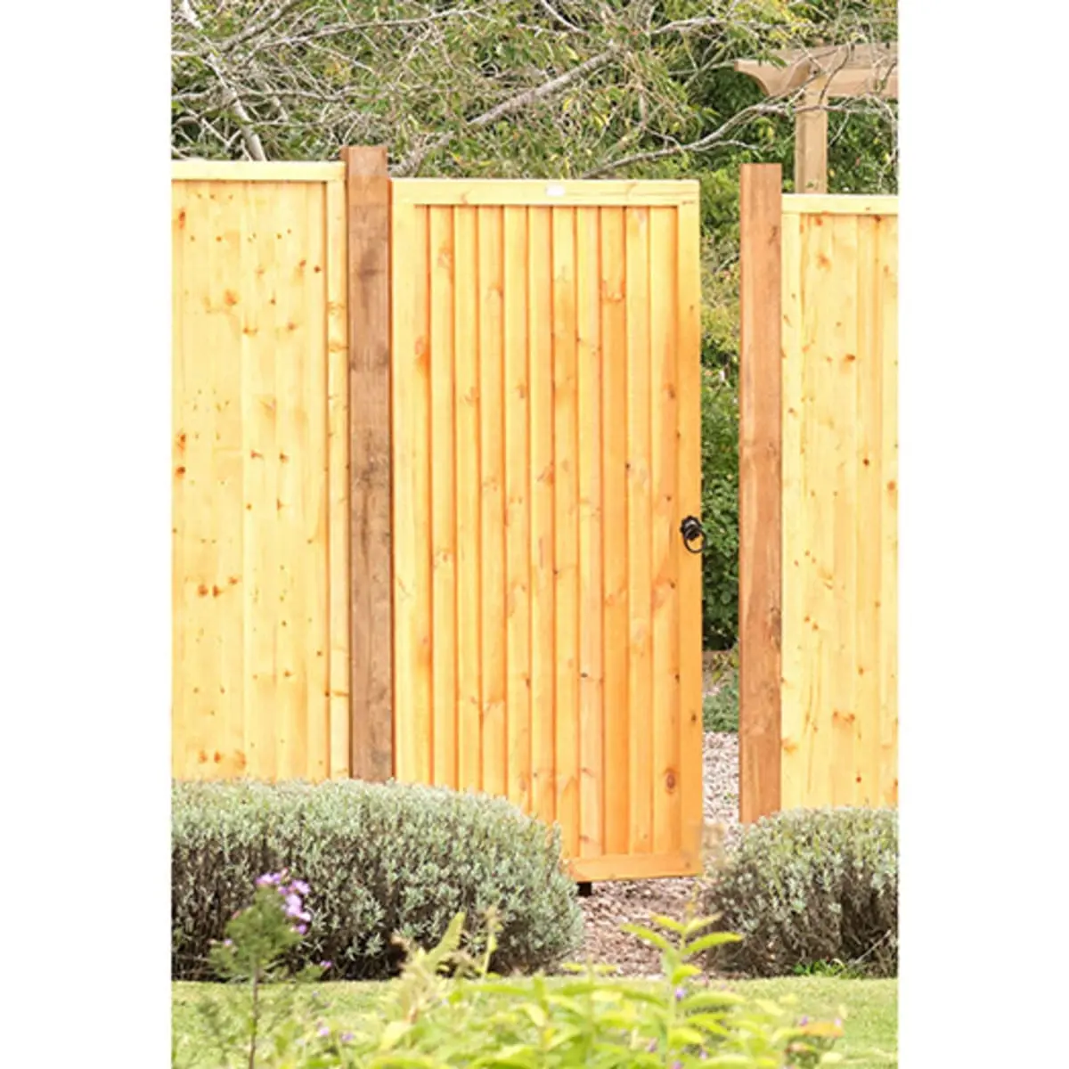 Product image for Grange Superior Featheredge Gate 1800 X 900mm Golden Brown