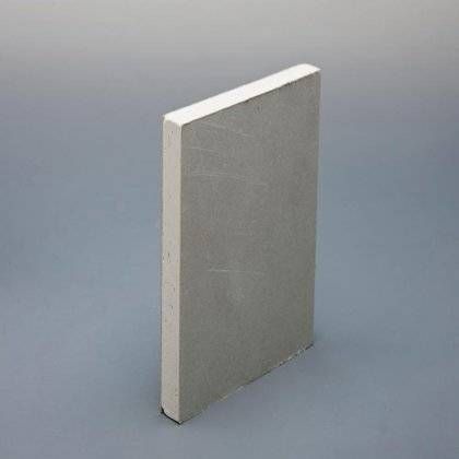 Product image for British Gypsum Gyproc Plank 2400mm x 600mm x 19mm SE (1.44m2)