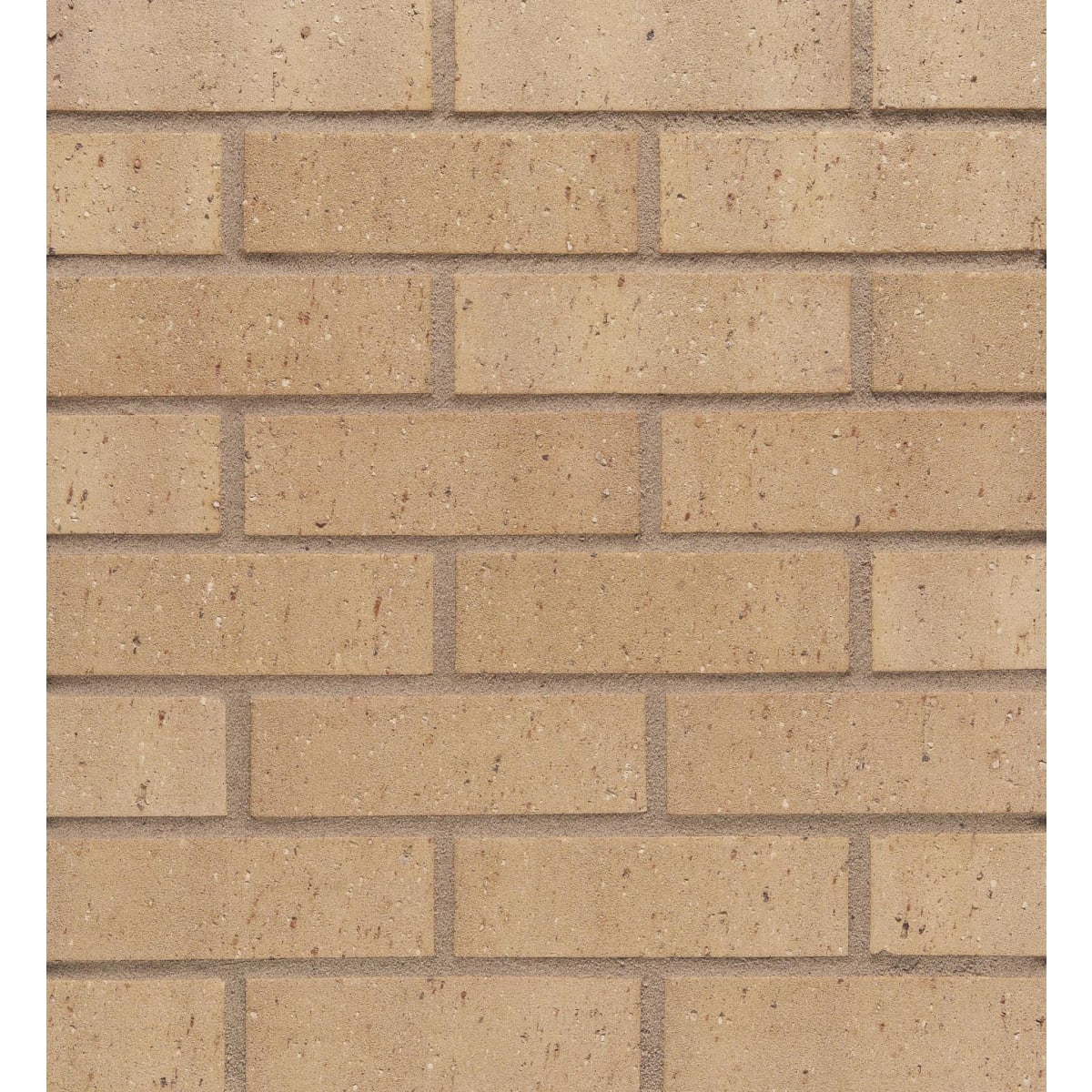 Image of Wienerberger Nevada Buff Bricks 65mm