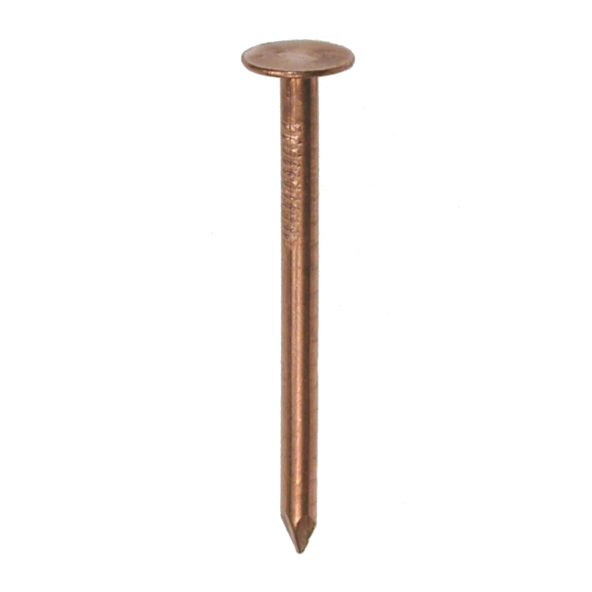 Product image for Clout Nails 38 x 3.35mm 1kg Copper