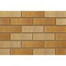 Product image for Ibstock Tradesman Buff Multi Brick 65mm - Pack of 500