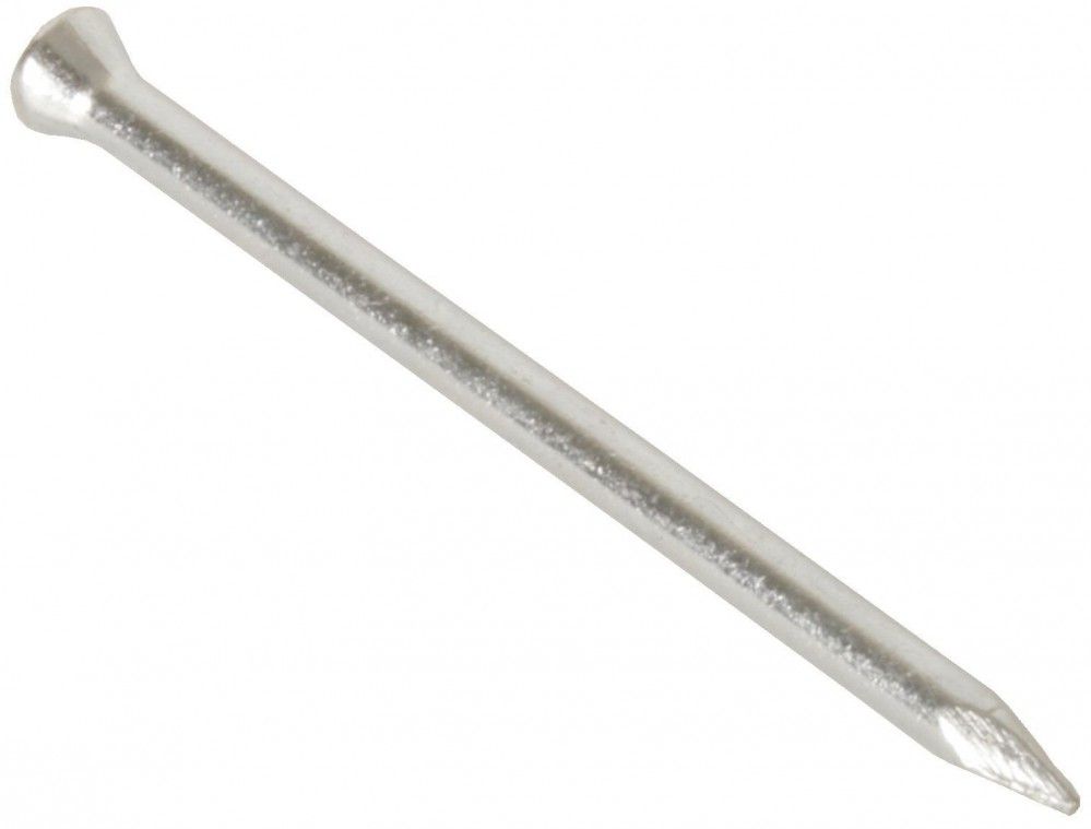 Product image for Masonry Nails BZP 25x2.5mm 100pk