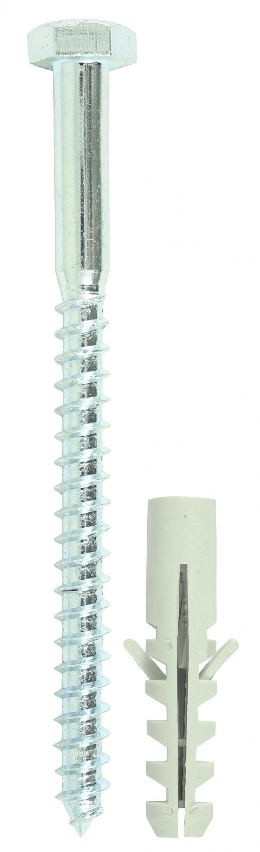 Product image for TIMCO Coach Screw With M6 Nylon Plug 6x60mm 40pk