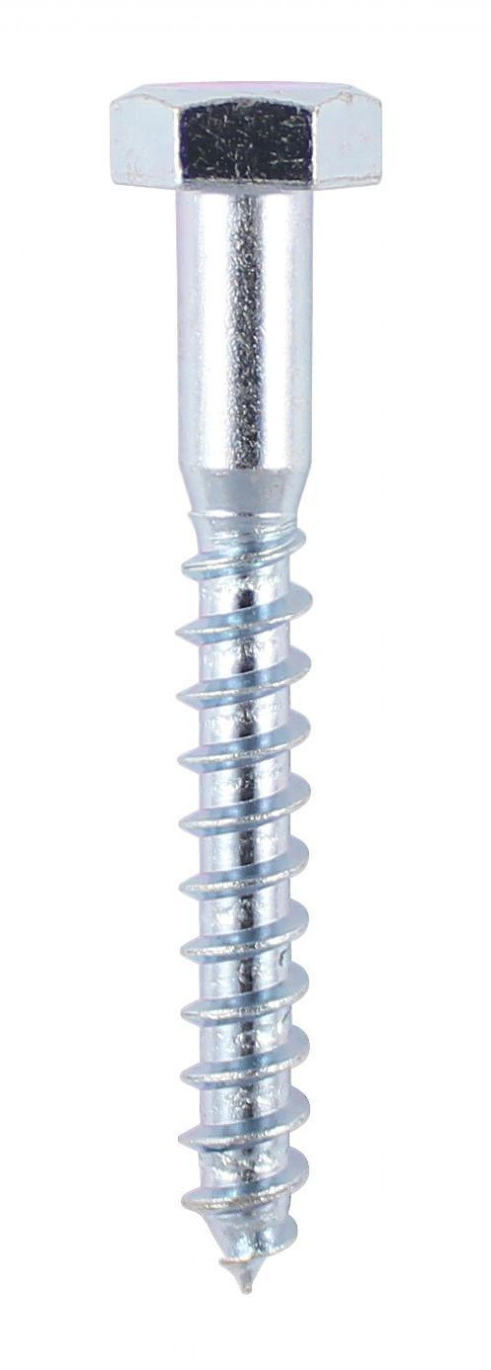 Product image for TIMCO Coach Screws 6.0x70mm 100pk