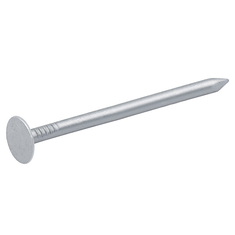 Product image for Diall Galvanised Clout nail (L)50mm (Dia)3mm 2kg